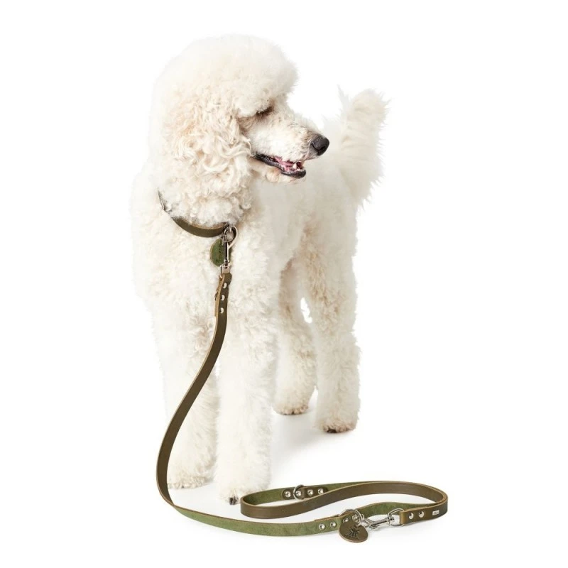 Hunter Aalborg Hundesnor Oliven 16/200